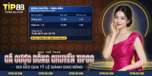 Cá cược bóng chuyền TIP88 với bảng xác suất kèo thắng trận, chấp set và tổng set của một trận