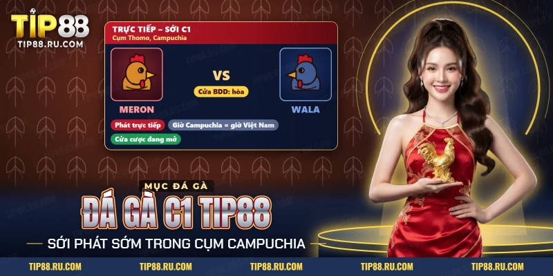 Màn xem Đá gà C1 TIP88 với hai cửa Meron, Wala và cửa hòa BDD của trận đang phát trực tiếp