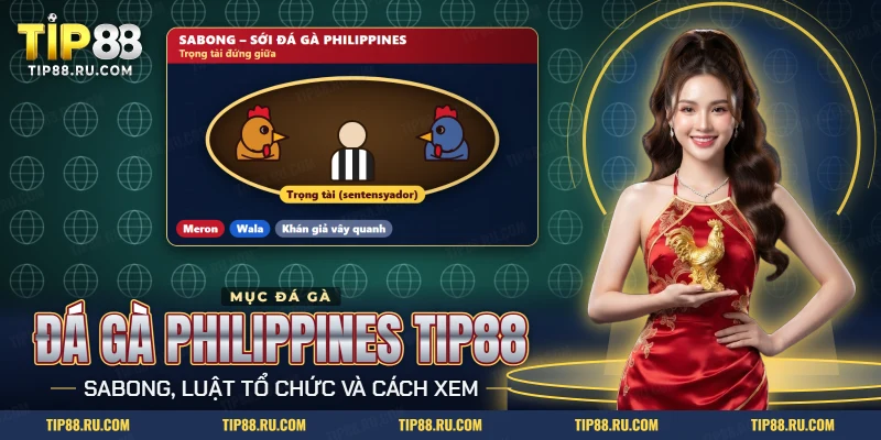 Sới Đá gà Philippines TIP88 với hai chiến kê đối diện và trọng tài đứng giữa