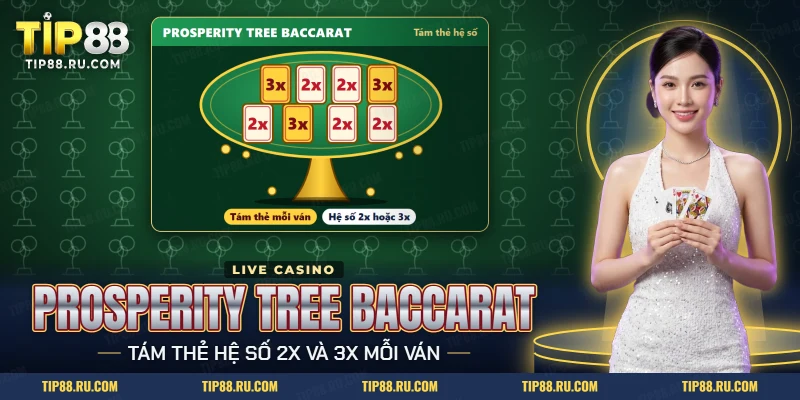Prosperity Tree Baccarat TIP88 với cây vàng mang tám thẻ hệ số